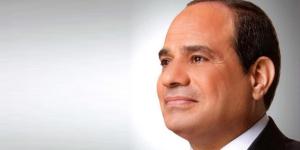 الرئيس السيسي يعود إلى أرض الوطن بعد زيارة أخوية للإمارات وسلطنة عمان - جريدة هرم مصر