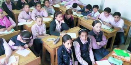 مصروفات المدارس الحكومية والتجريبية لغات العام الدراسي الجديد 2025 - 2026 - هرم مصر