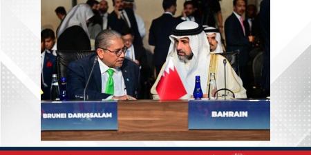 وكيل وزارة الخارجية للشؤون السياسية يشارك في الاجتماع الحادي والخمسين لمجلس وزراء خارجية منظمة التعاون الإسلامي - هرم مصر