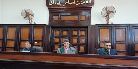 المشدد 6 سنوات لـ عامل يتاجر في المواد المخدرة بأسيوط - هرم مصر