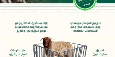 بدء بيع المواشي الحية بالوزن الخميس المقبل - هرم مصر