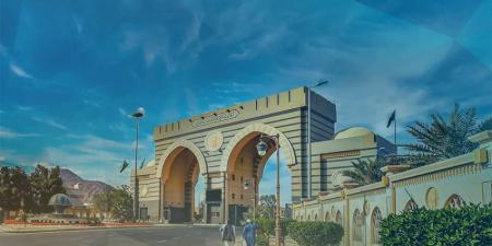 مبادرة لدعم الأبحاث البينية التطبيقية بالجامعة الإسلامية - هرم مصر