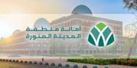 أمانة المدينة المنورة تُجري (1,379) اختبارًا ميدانيًا وتفحص (6,000) عيّنة أغذية خلال شهر مايو - هرم مصر