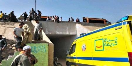 طوارئ بمستشفيات المنوفية للتعامل مع حادث الطريق الإقليمي - هرم مصر
