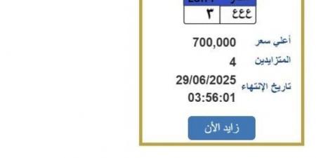 سعرها 700 ألف جنيه.. مزايدة نارية على لوحة سيارة مميزة «اعرف الخطوات» - هرم مصر