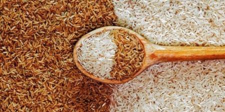 سعر طن الأرز الشعير اليوم السبت 28 يونيو 2025.. عريض ورفيع الحبة - هرم مصر