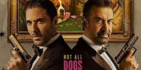 التفاصيل الكاملة لفيلم The Seven Dogs لـ كريم عبد العزيز وعز - هرم مصر