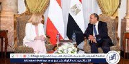 وزير الخارجية يجرى مشاورات سياسية مع نظيرته النمساوية - هرم مصر