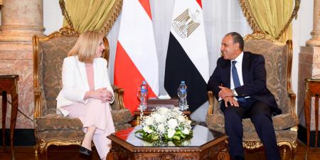 وزير الخارجية يجرى مشاورات سياسية مع نظيرته النمساوية - هرم مصر