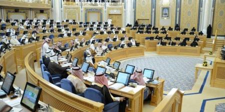 الشورى يطالب بإعادة النظر في أسعار تذاكر الطيران الداخلية - هرم مصر