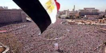 مصر بعد ثورة 30 يونيو.. قرارات سيادية أنهت الجماعة وأعادت الهيبة للدولة - هرم مصر