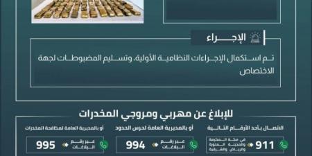 حرس الحدود‬⁩ في الوجه يحبط تهريب 26 كيلوجرامًا من مادة الحشيش المخدر - هرم مصر