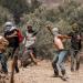 مستوطنون يقيمون بؤرة بالخليل ويعتدون على فلسطينيين برام الله - هرم مصر