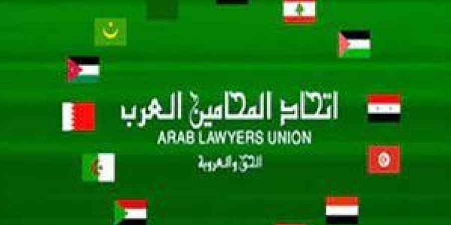 رئيس اتحاد المحامين العرب يدعم موقف الخارجية المصرية بشأن زيارة الحدود مع غـزة - هرم مصر