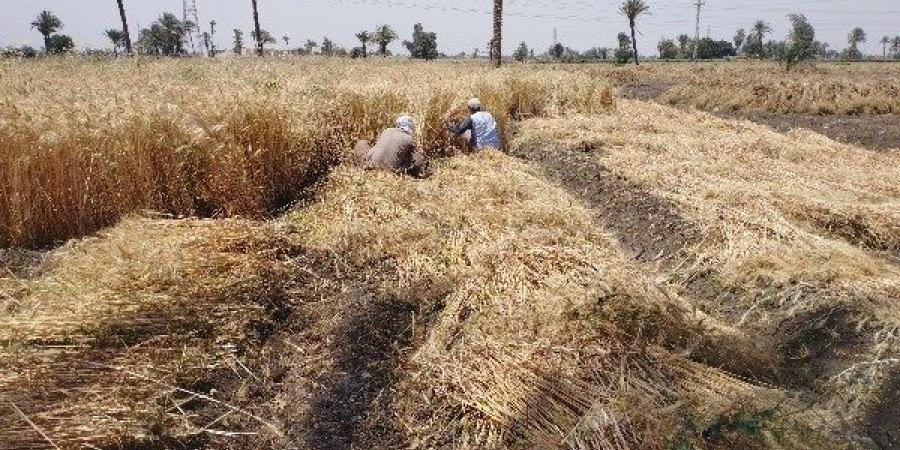 مع بداية فصل الصيف.. ردد الآن دعاء الحر الشديد واستعذ بالله من نار جهنم - هرم مصر