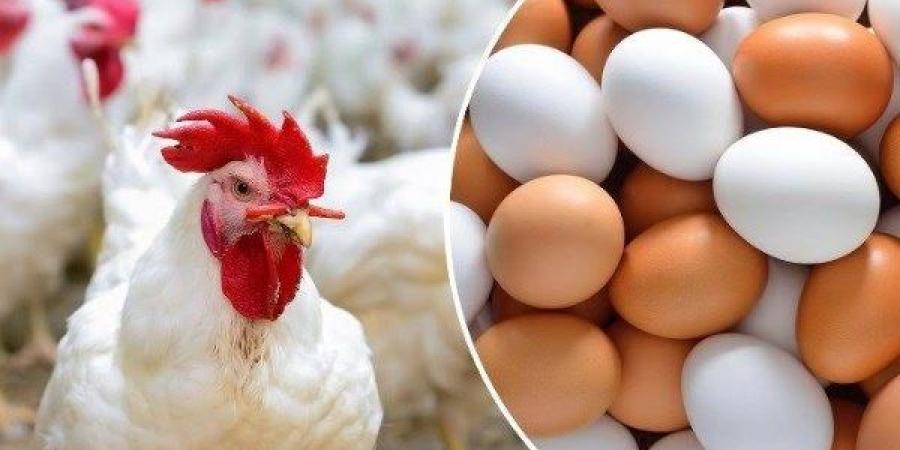 مع امتحانات الثانوية العامة .. هذه الأطعمة تعالج الاكتئاب - هرم مصر
