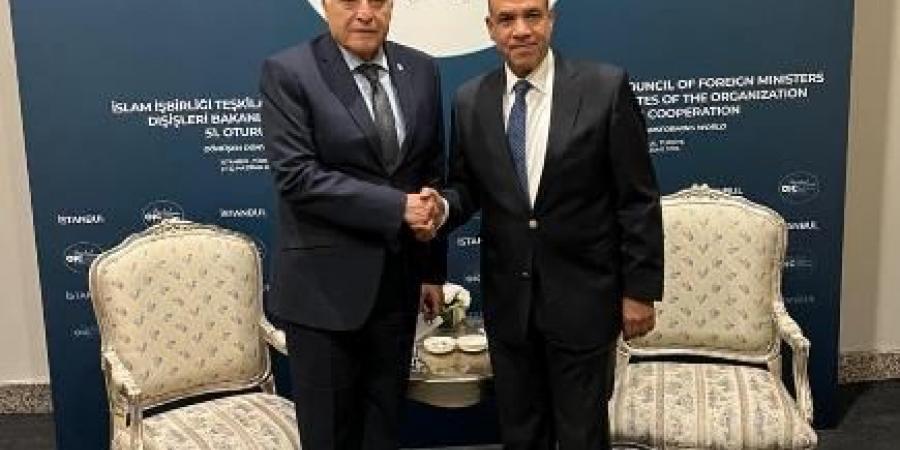 مصر والجزائر تؤكدان على الصداقة التاريخية وتبحثان سبل تعزيز التعاون الاقتصادي وتهدئة الأوضاع الإقليمية - هرم مصر