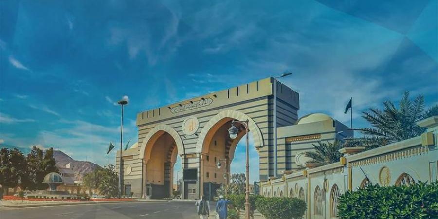 مبادرة لدعم الأبحاث البينية التطبيقية بالجامعة الإسلامية - هرم مصر