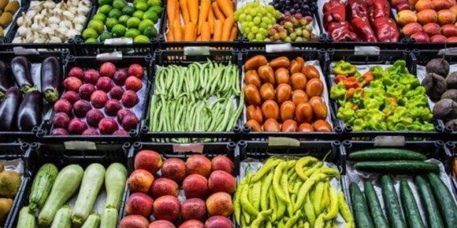 أسعار الخضروات والفاكهة في سوق العبور اليوم الثلاثاء 24 يونيو 2025 - هرم مصر