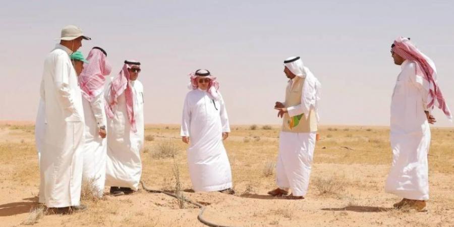 الرئيس التنفيذي لـالغطاء النباتي يتفقّد روضة السبلة - هرم مصر