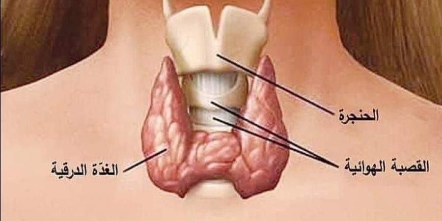 بتحس بالحر بزيادة وشعرك بيقع.. احترس هذه العلامات تؤكد إصابتك بمرض غير متوقع - هرم مصر