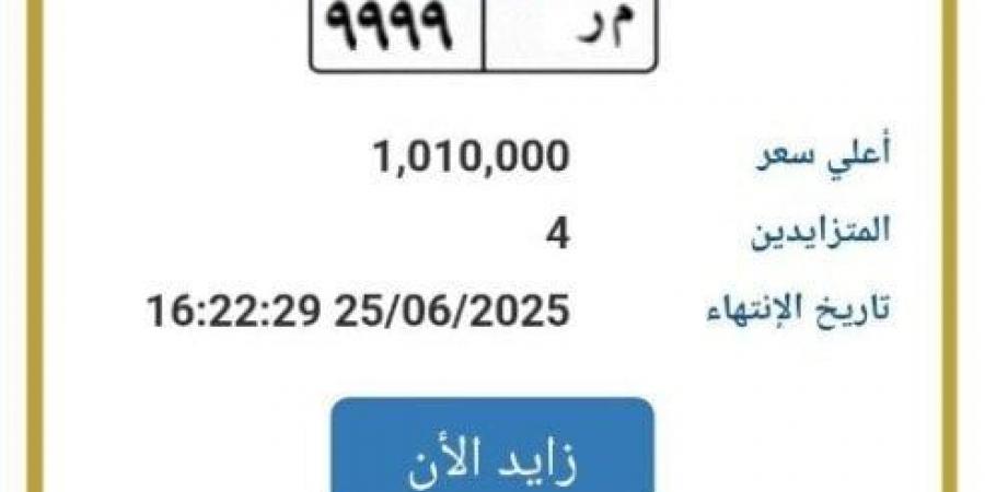 تخطت المليون جنيه.. مزايدة نارية على لوحة سيارة مميزة - هرم مصر