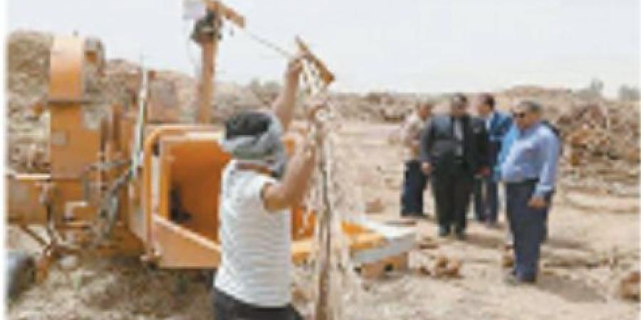 مخالفات النخيل تحقق المستحيل - هرم مصر