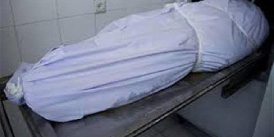 مصرع أمين شرطة في القليوبية دهسًا على يد سائق ميكروباص أثناء تأدية عمله - هرم مصر