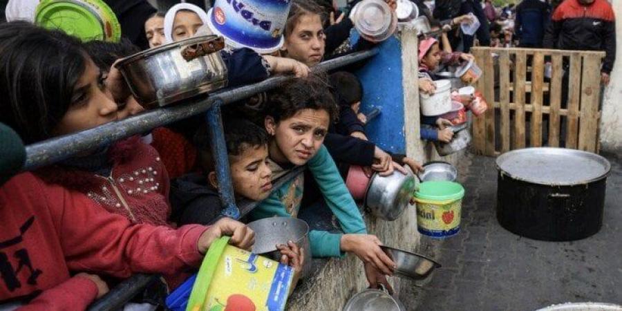 «الإغاثة الطبية في غزة»: استهداف متعمد للجائعين خلال استلام المساعدات الإنسانية - هرم مصر