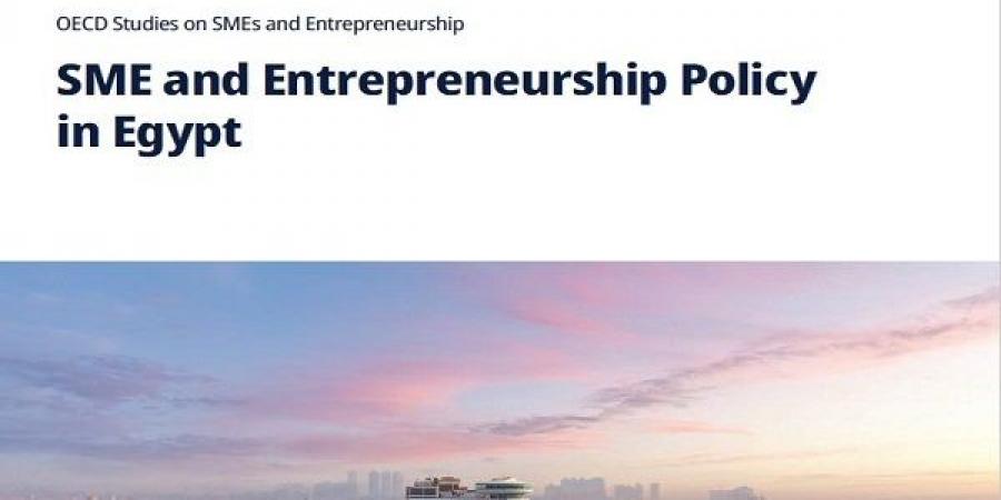 منظمة التعاون الاقتصادية تطلق تقريرها حول ريادة الأعمال في مصر - هرم مصر