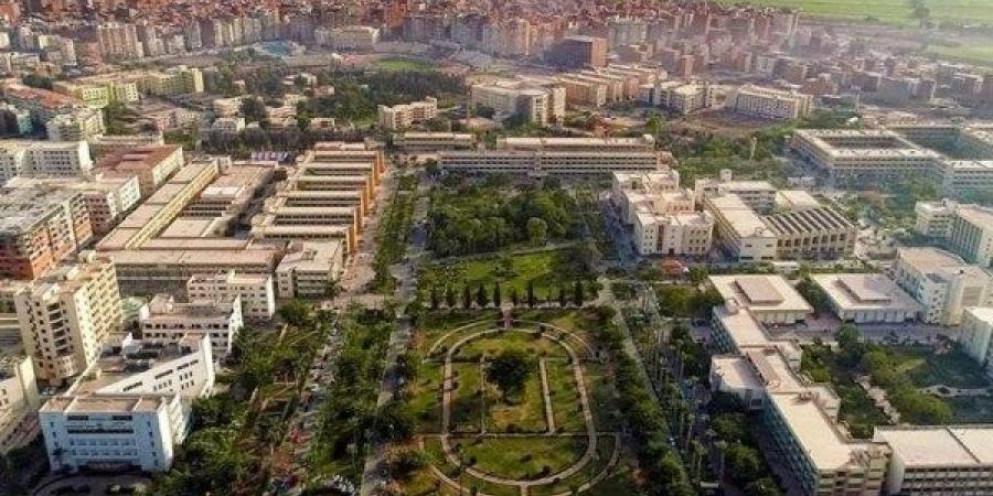 جامعة المنصورة تعتمد الهوية البصرية الموحدة بشعار "بالعلم نبني أمة وبالإبداع نصنع المستقبل" - هرم مصر