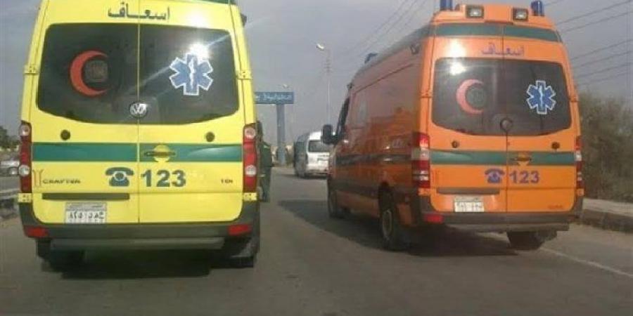 كلمة السر «لعب الكرة».. التحقيق مع المتهم بالتعدي على زميله في باب الشعرية - هرم مصر