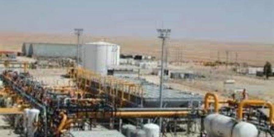 658 مليون دولار .. تفاصيل تحالف صيني لبناء مصنع كيماويات - هرم مصر