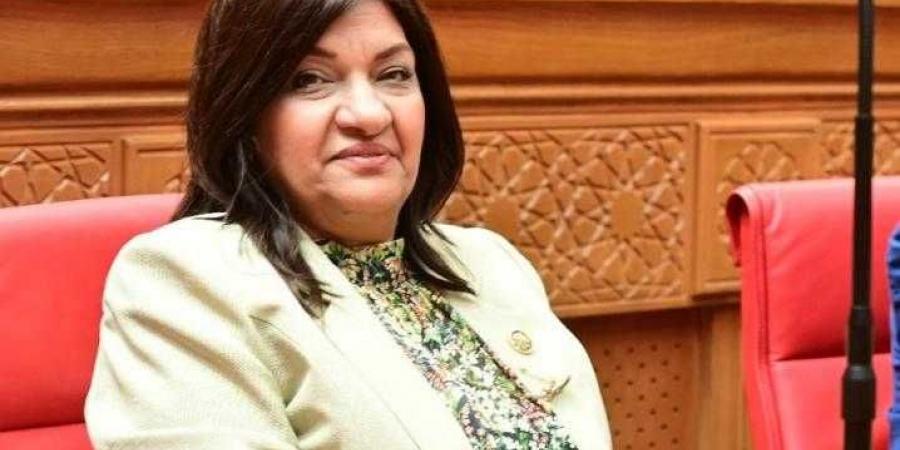 النائبة ايفلين متى تتقدم بطلب إحاطة لوزير النقل بشأن عدم استكمال بعض الطرق وتسببها في إهدار أرواح المواطنين عليها - هرم مصر
