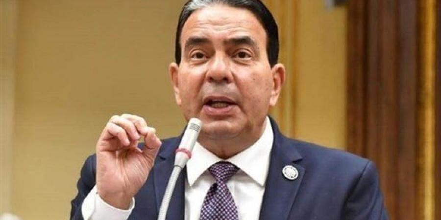 أيمن أبو العلا: أتحفظ على المادة الخاصة بإنهاء العلاقة الإيجارية - هرم مصر
