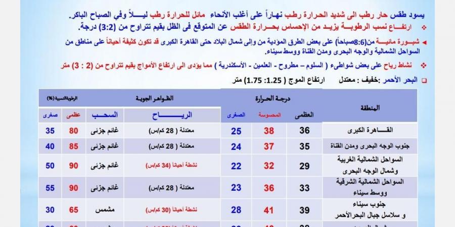 طقس شديد الحرارة ورطوبة مرتفعة غدًا الخميس 3 يوليو 2025.. وتحذيرات من الشبورة على الطرق - هرم مصر