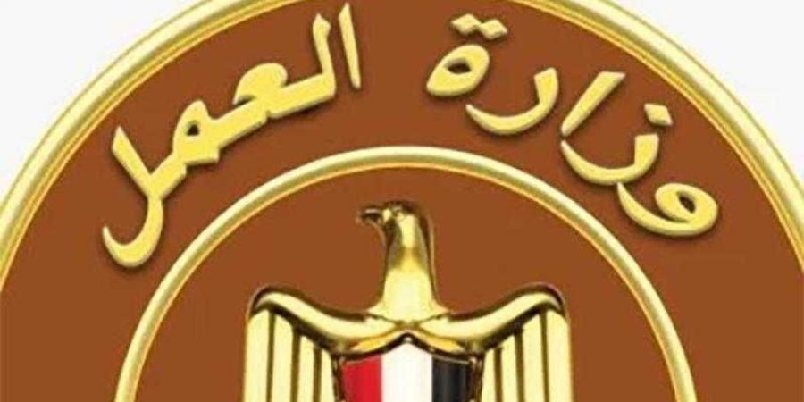 وزارة العمل تعلن عن وظائف جديدة بشركة كهرباء بمرتبات تصل إلى 13 ألف جنيه - هرم مصر