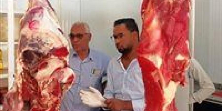 بالتعاون مع حماية المستهلك..مديرية الصحة تضبط وتعدم 700 كجم لسلع منتهية الصلاحية ومجهولة المصدر بأسوان - هرم مصر