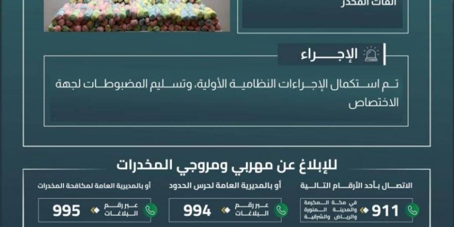 حرس الحدود بجازان يحبط تهريب (400) كيلوجرام من القات المخدر - هرم مصر