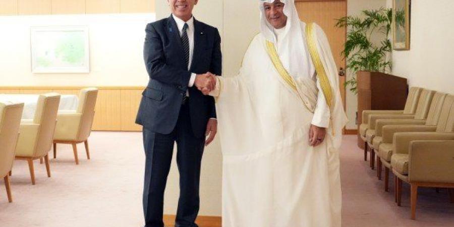 أمين مجلس (التعاون) يؤكد أهمية الشراكة الاستراتيجية بين دول الخليج واليابان - هرم مصر