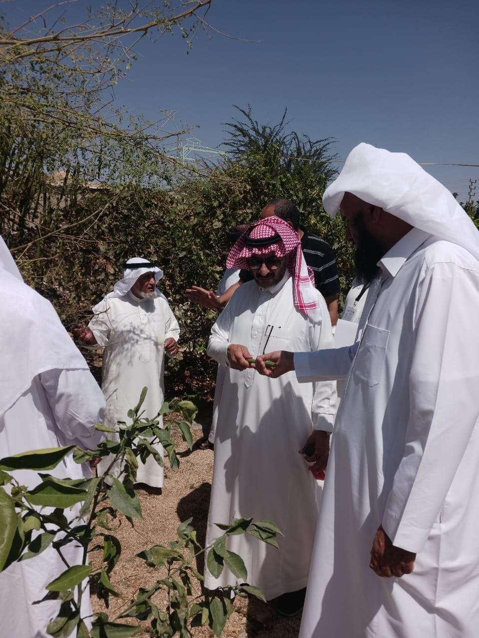 تدريب الزراعين فى مكة