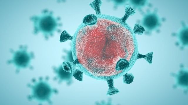 «الصحة العالمية» تحذر من متحور جديد لـ «كوفيد 19» «الصحة العالمية» تحذر من متحور جديد لـ «كوفيد 19»
