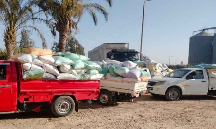 توريد أكثر من 287 ألف طن قمح لشون وصوامع البحيرة توريد أكثر من 287 ألف طن قمح لشون وصوامع البحيرة