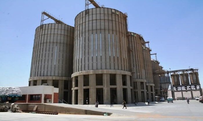 توريد 165 ألف طن قمح خلال شهر بسوهاج وصرف 2.5 مليار جنيه مستحقات للمزارعين توريد 165 ألف طن قمح خلال شهر بسوهاج وصرف 2.5 مليار جنيه مستحقات للمزارعين