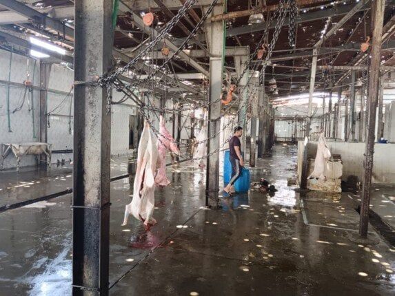 السكرتير العام المساعد لمحافظة الإسماعيلية يتفقد المجزر الآلي بأبو خليفة وأبو صوير السكرتير العام المساعد لمحافظة الإسماعيلية يتفقد المجزر الآلي بأبو خليفة وأبو صوير