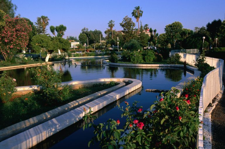 Gardens on the banks of the Hama River