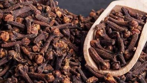 |ماذا يحدث لجسمك عند تناول القرنفل؟