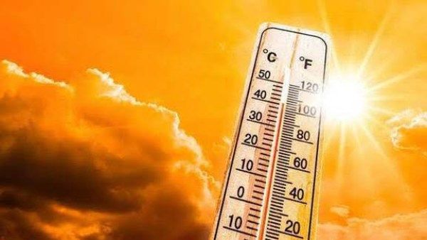 طقس أول أيام عيد الأضحى .. ماذا قالت الأرصاد عن حالة الجو غدا