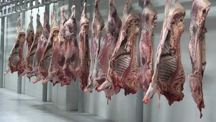 محافظ البحر الأحمر يشدد على ذبح الأضاحي بالمجازر: بيئة نظيفة وصحة عامة في العيد محافظ البحر الأحمر يشدد على ذبح الأضاحي بالمجازر: بيئة نظيفة وصحة عامة في العيد
