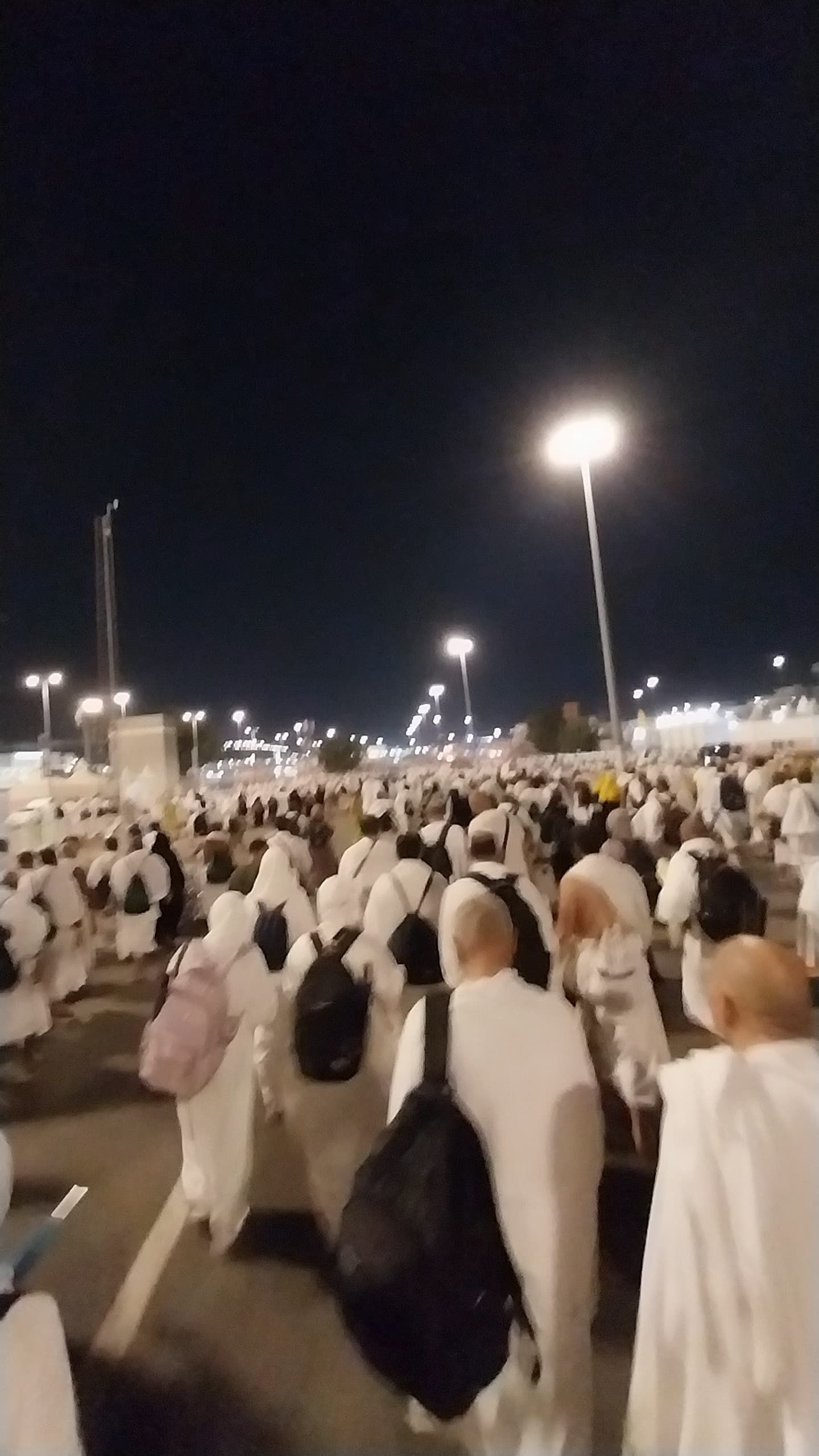 bdf8ac15e9.jpg